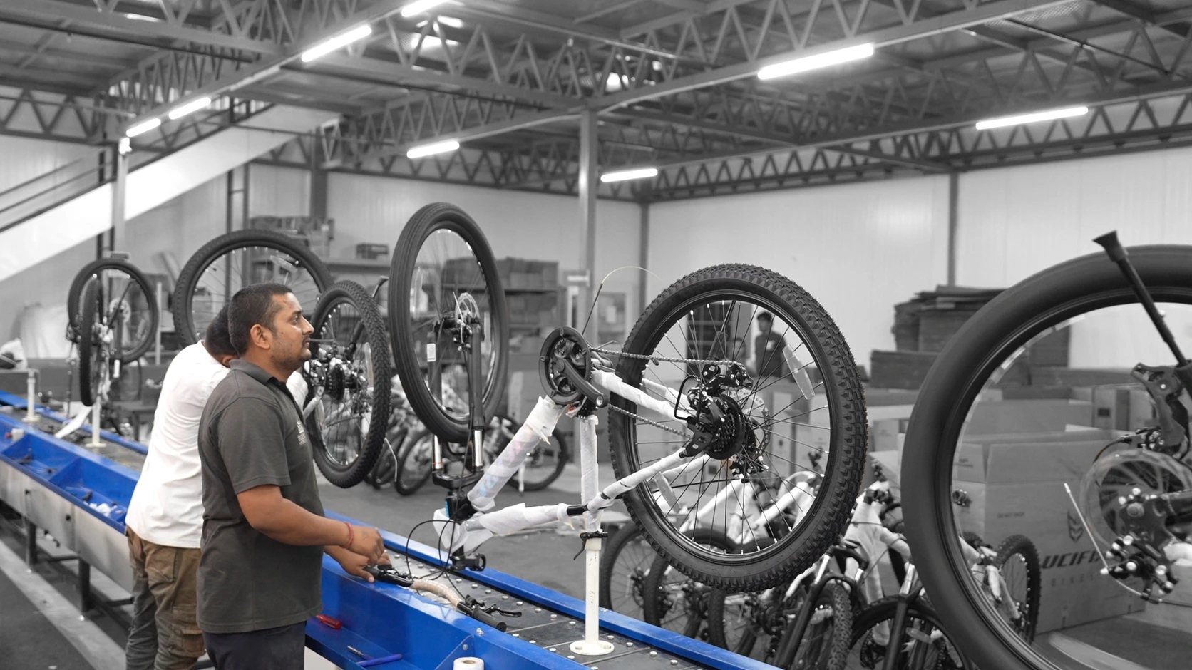 Assembly & Packaging